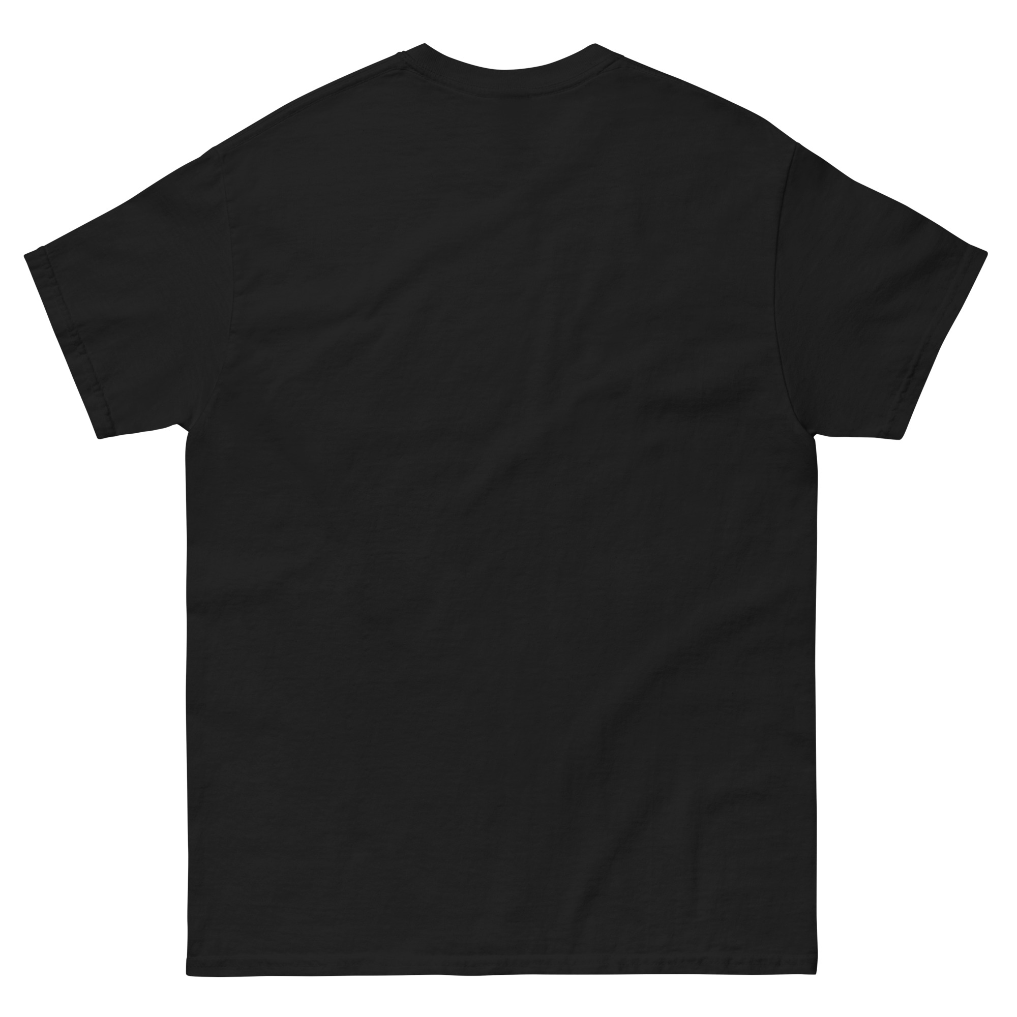 mens-classic-tee-black-back-6630b0de1ee04.jpg